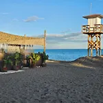 Palm - La Carihuela