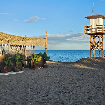 Palm - La Carihuela